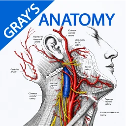 أيقونة Gray's Anatomy - Anatomy Atlas